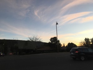 IMG_0353